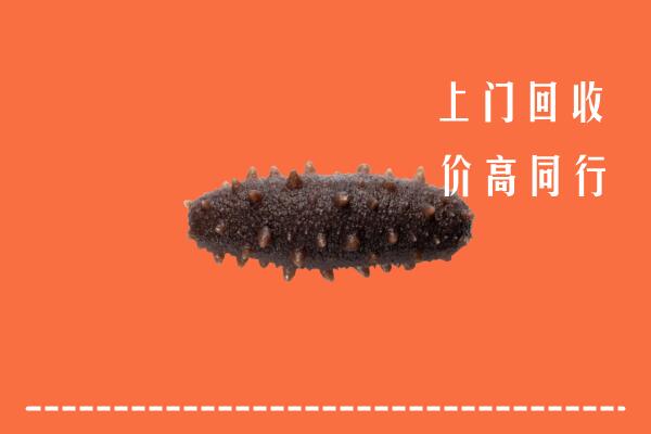 高价求购：洛阳市偃师市回收海参