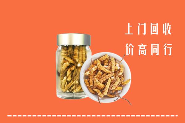 洛阳市偃师市回收冬虫夏草