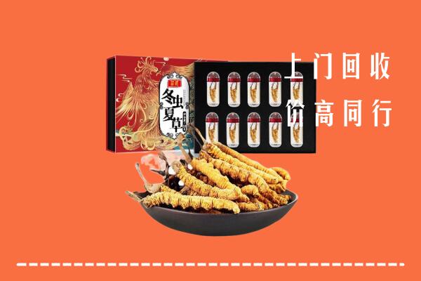 洛阳市偃师市回收虫草